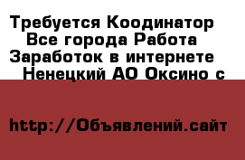 Требуется Коодинатор - Все города Работа » Заработок в интернете   . Ненецкий АО,Оксино с.